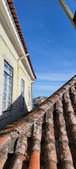 Enlarge photo 156