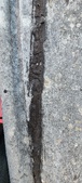 Enlarge photo 165