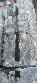 Enlarge photo 170