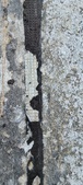 Enlarge photo 171