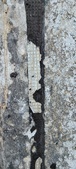 Enlarge photo 172