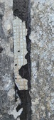 Enlarge photo 173