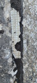 Enlarge photo 174