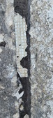Enlarge photo 175