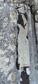 Enlarge photo 179