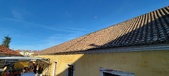 Enlarge photo 183
