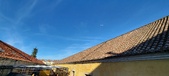 Enlarge photo 184