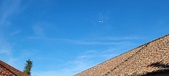 Enlarge photo 186