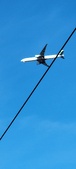 Enlarge photo 197