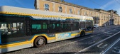 Enlarge photo 199