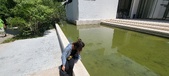 Enlarge photo 41