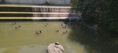 Enlarge photo 47