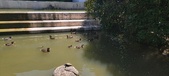 Enlarge photo 48