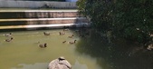 Enlarge photo 49