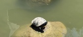 Enlarge photo 50