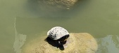 Enlarge photo 51