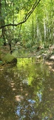 Enlarge photo 53