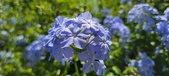 Enlarge photo 54