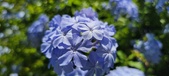 Enlarge photo 55
