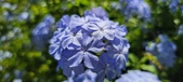 Enlarge photo 56