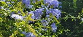 Enlarge photo 57