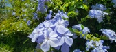 Enlarge photo 58