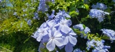 Enlarge photo 59