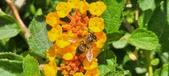 Enlarge photo 69