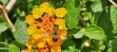 Enlarge photo 70