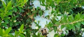 Enlarge photo 26
