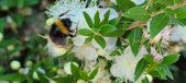 Enlarge photo 28