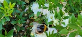 Enlarge photo 29