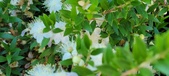 Enlarge photo 31