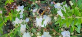 Enlarge photo 30