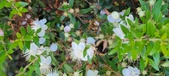 Enlarge photo 32