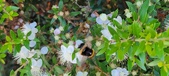 Enlarge photo 35