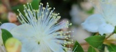 Enlarge photo 34