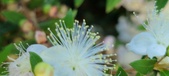 Enlarge photo 33