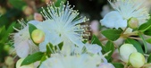 Enlarge photo 36