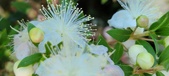 Enlarge photo 37