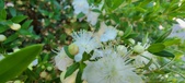 Enlarge photo 38