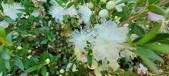 Enlarge photo 41