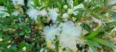 Enlarge photo 40