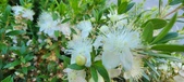 Enlarge photo 39