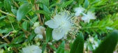 Enlarge photo 42