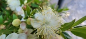 Enlarge photo 43