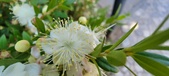Enlarge photo 44