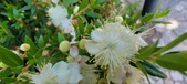 Enlarge photo 45