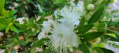 Enlarge photo 46