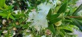 Enlarge photo 47
